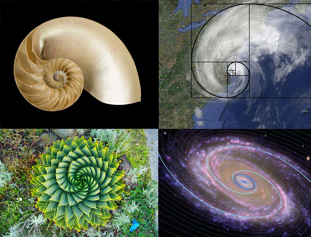 spiral_composite